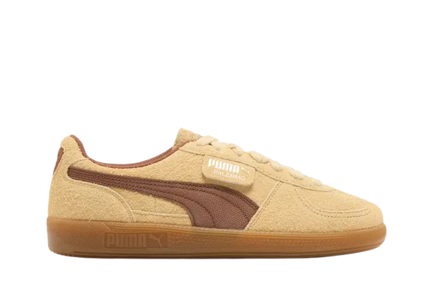 Pumaa Palermmoo Chamomileee Brownn Mushroom