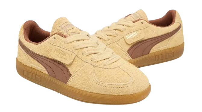 Pumaa Palermmoo Chamomileee Brownn Mushroom - Image 2