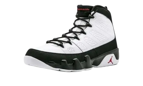 Air Jordan 9 Black white - Image 3