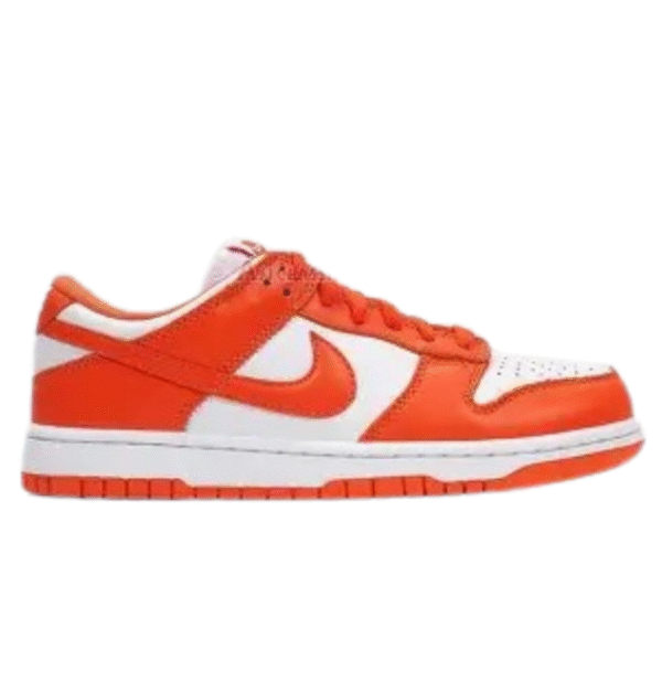 nik-E dunk low syracuse top quality with og box