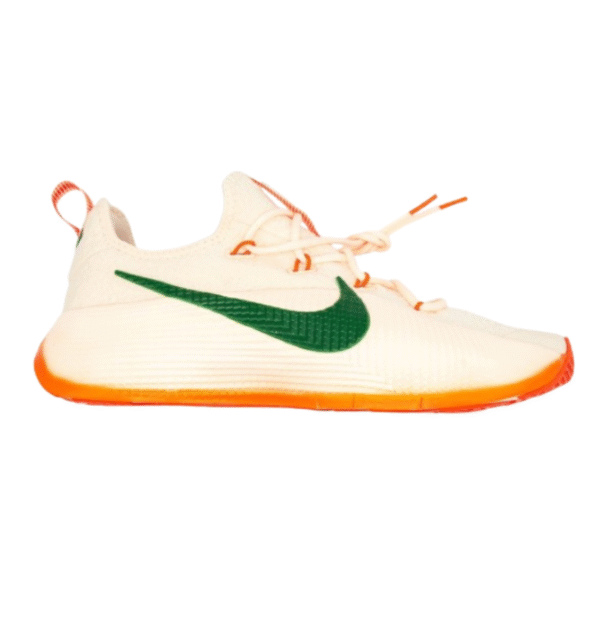 Nike honors famu lebron tr1 Fixxx