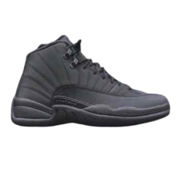 Nikee Air Jordan Retro 12 Winterized Triple Black