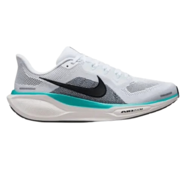 Nik.e Pegasus 41 White Bluee