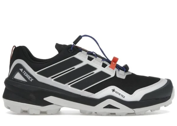 Adidas terrex sky chaser gore-tex