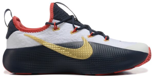 Nike LeBron ROYALTY TR 1 TEAM USA