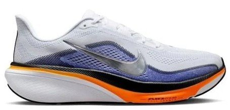 Nike Pegasus 42