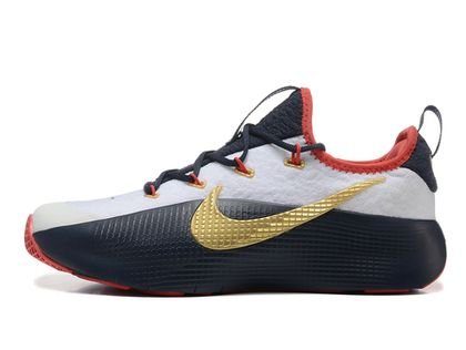 Nike LeBron ROYALTY TR 1 TEAM USA - Image 2